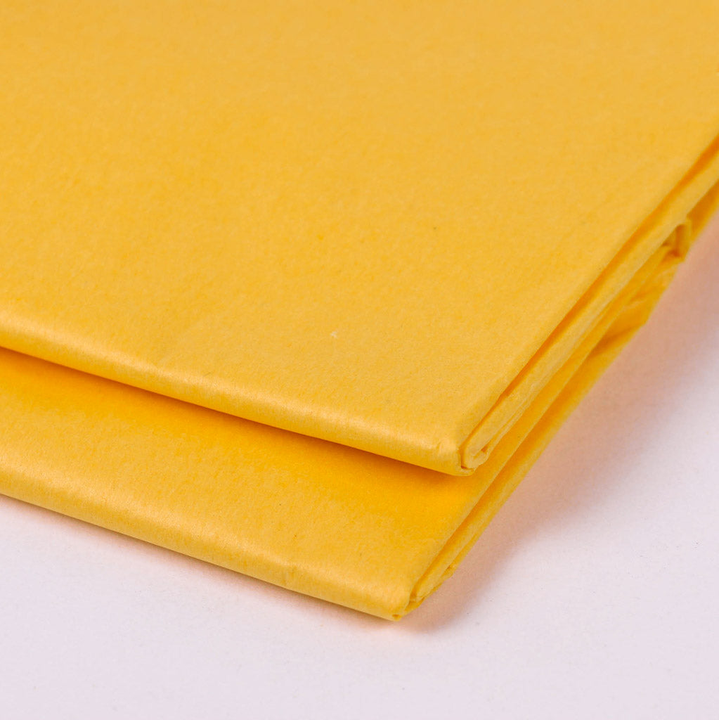 Papel de Seda 50x66cm (21 cores)