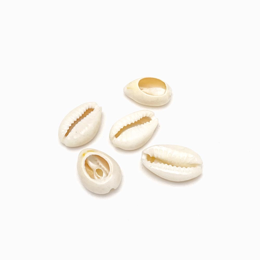 Pack 20 Entremeio Búzio 19x12mm