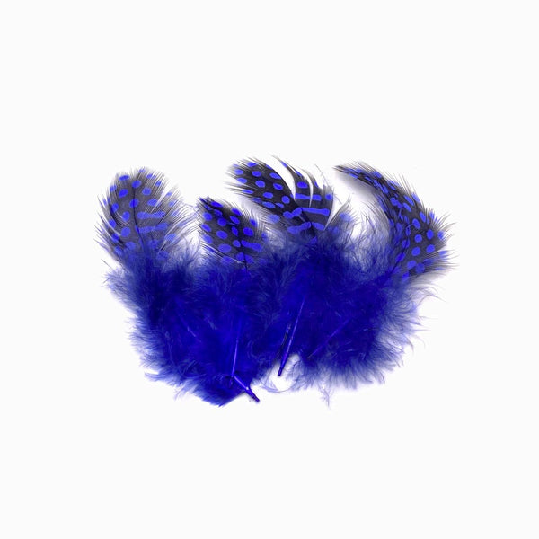 Pena de faisão azulão