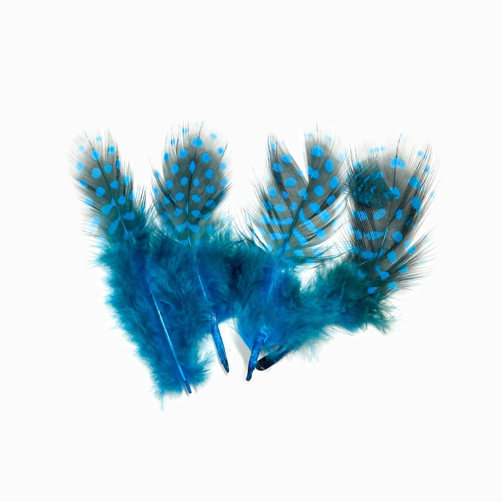 Pena de faisão azul ciano