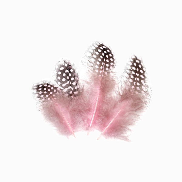 Pena de faisão rosa