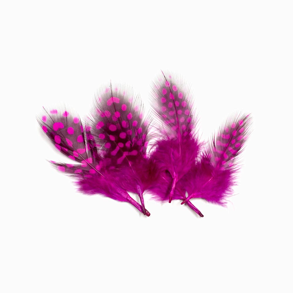 Pena de faisão rosa choque