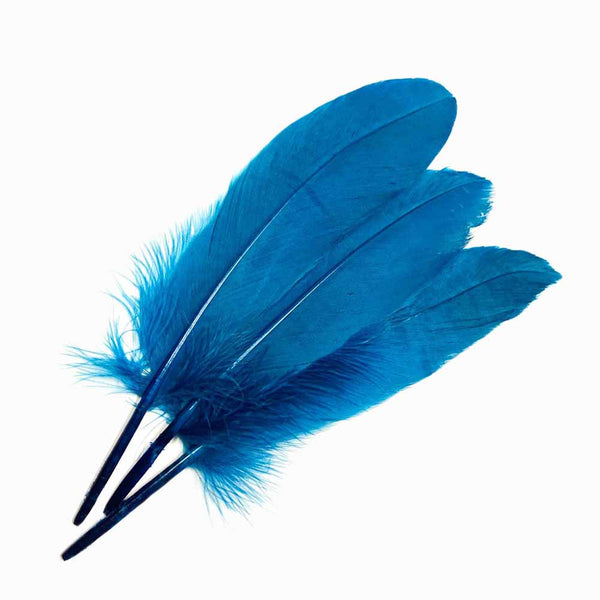 PENAS DE GANSO AZUL CIANO