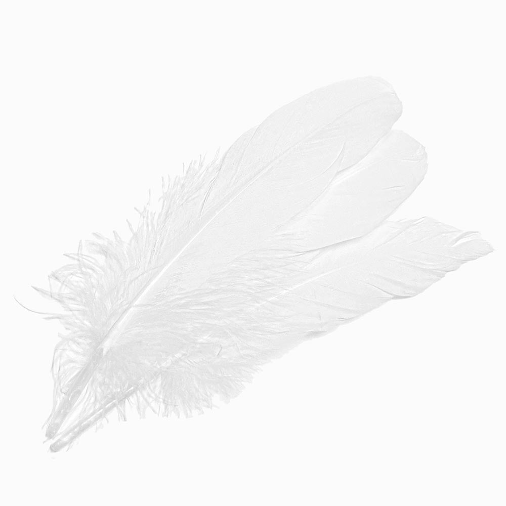 PENAS DE GANSO BRANCO