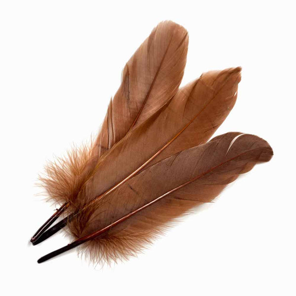 PENAS DE GANSO CASTANHO