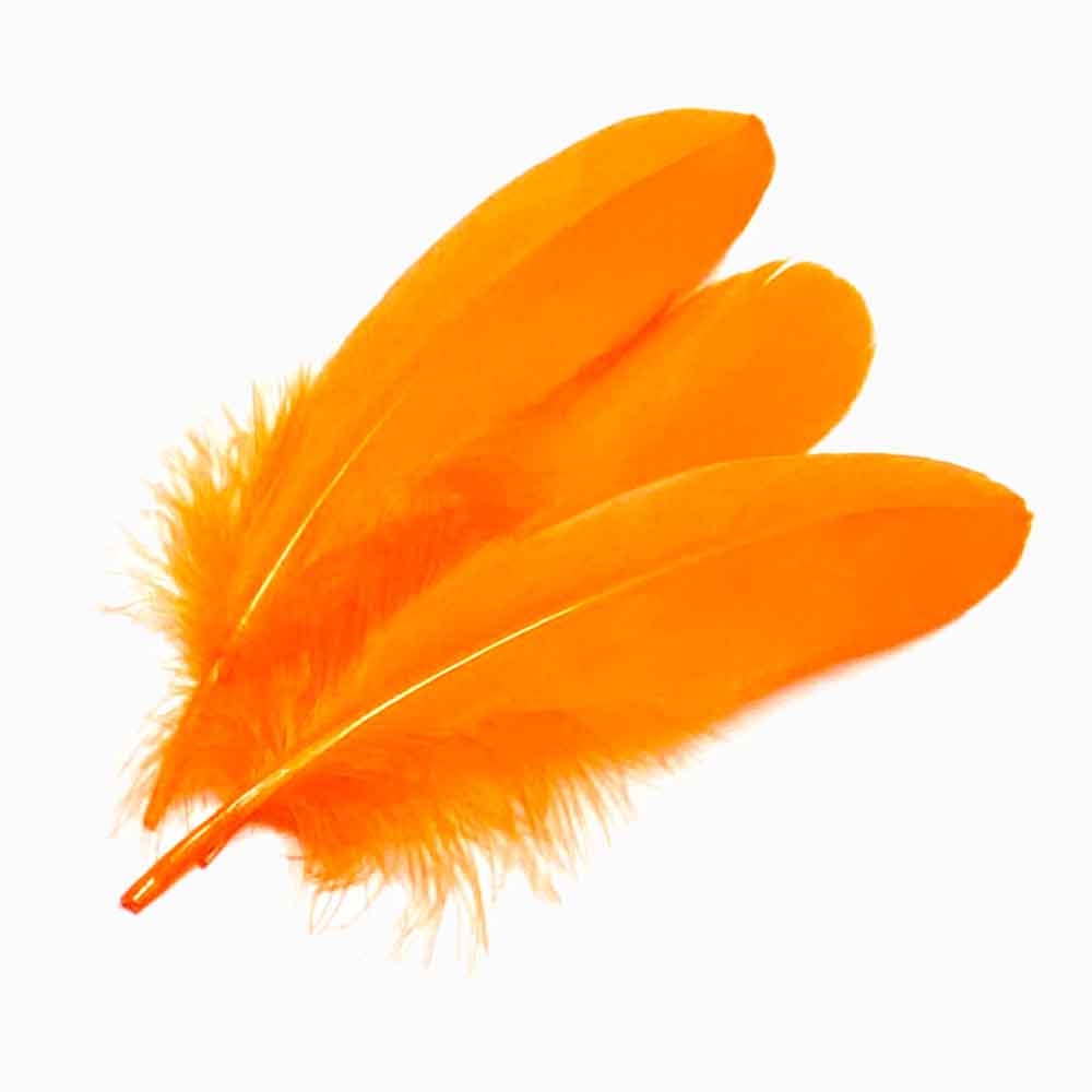 PENAS DE GANSO laranja