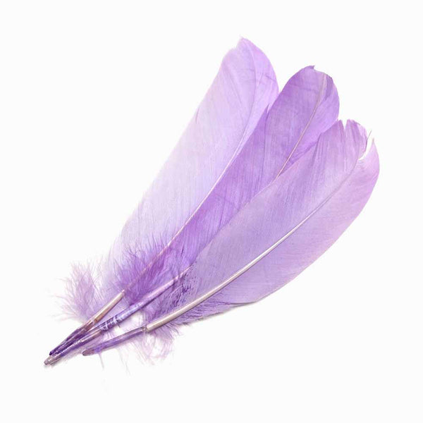 PENAS DE GANSO lavanda