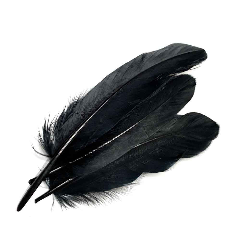 PENAS DE GANSO preto