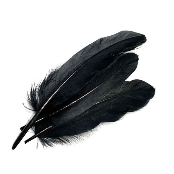 PENAS DE GANSO preto