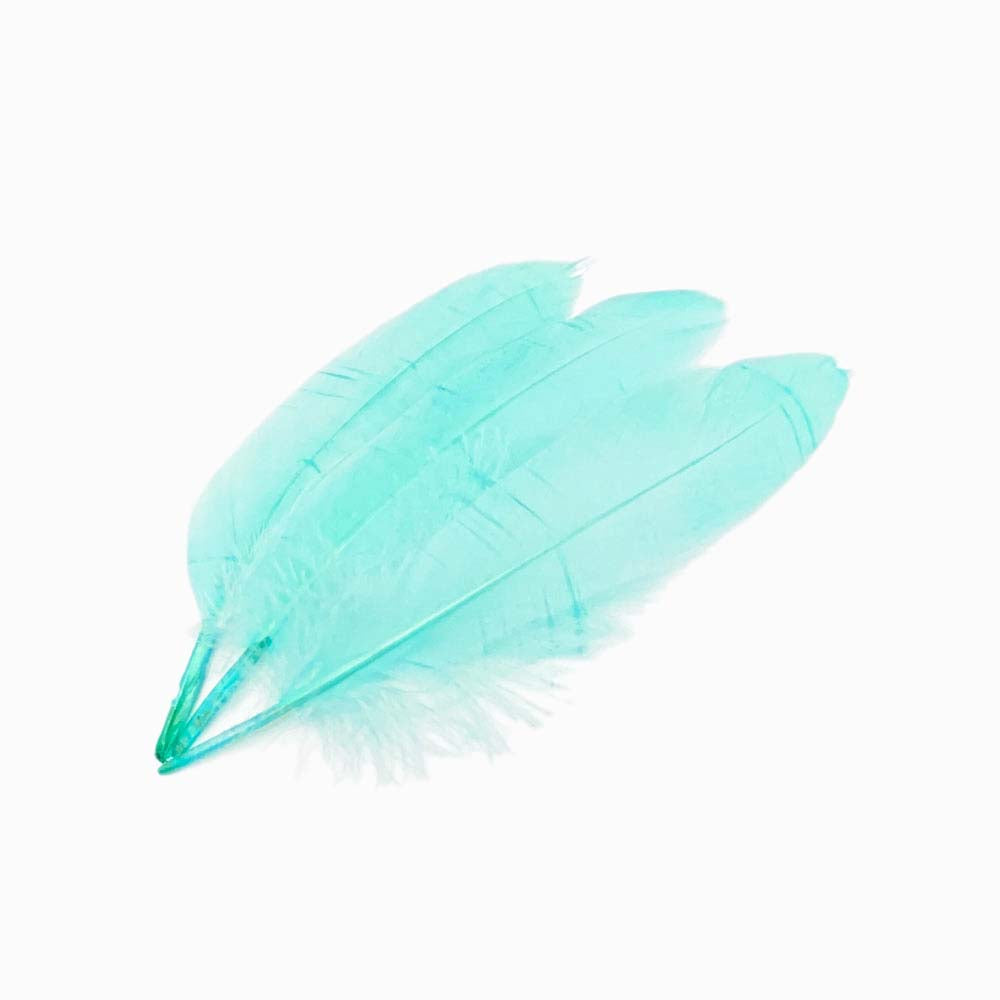 PENAS DE GANSO turquesa