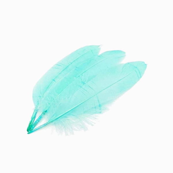 PENAS DE GANSO turquesa