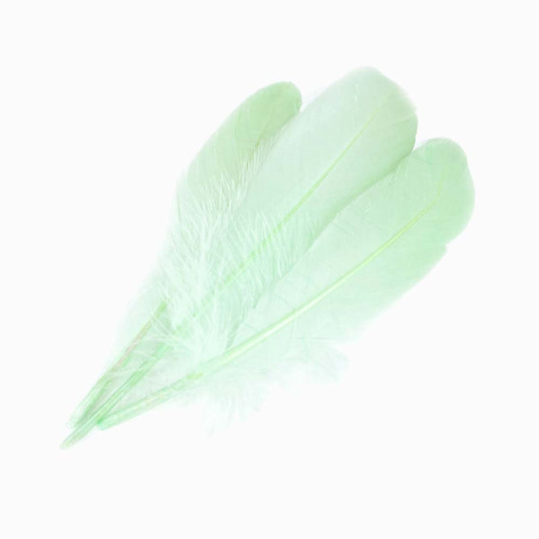 PENAS DE GANSO verde água