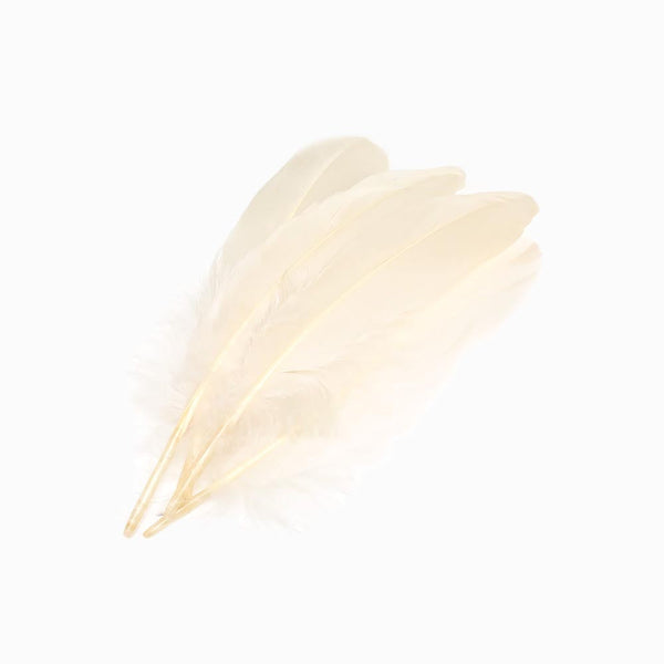 PENAS DE GANSO ROSA CLARO