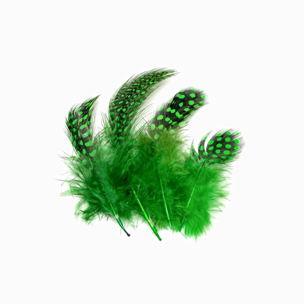 Pena de faisão verde bandeira