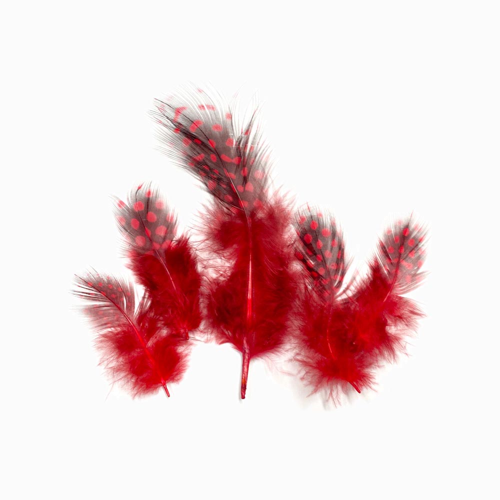 Pena de faisão vermelho