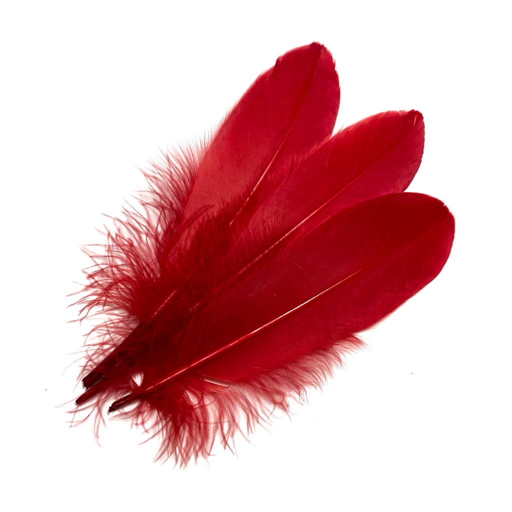 PENAS DE GANSO vermelho