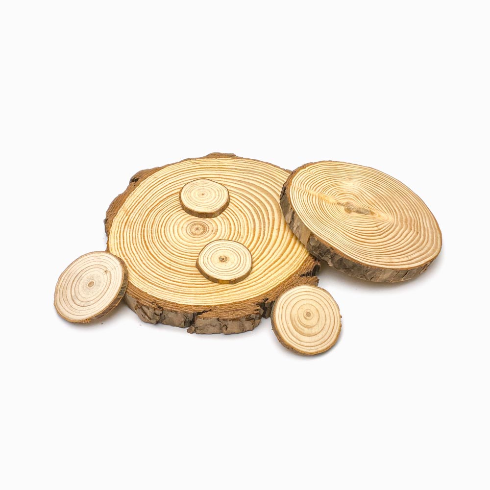 Rodela de madeira natural