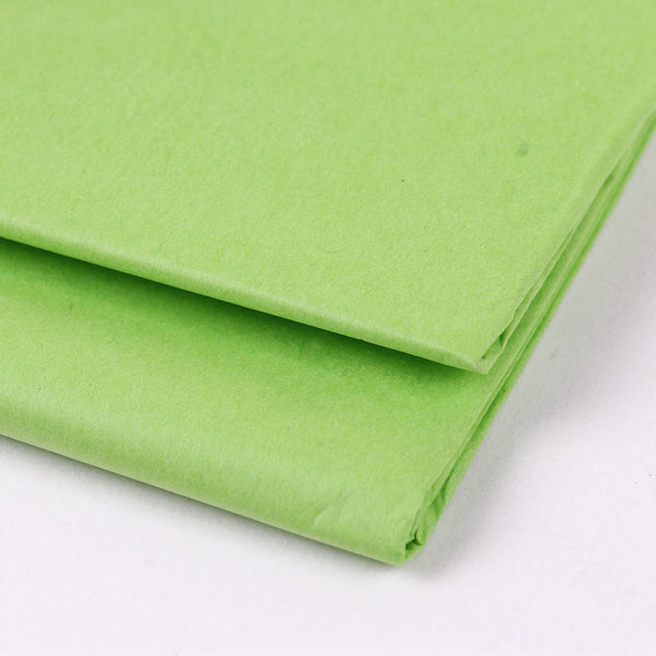 Papel de Seda 50x66cm (21 cores)