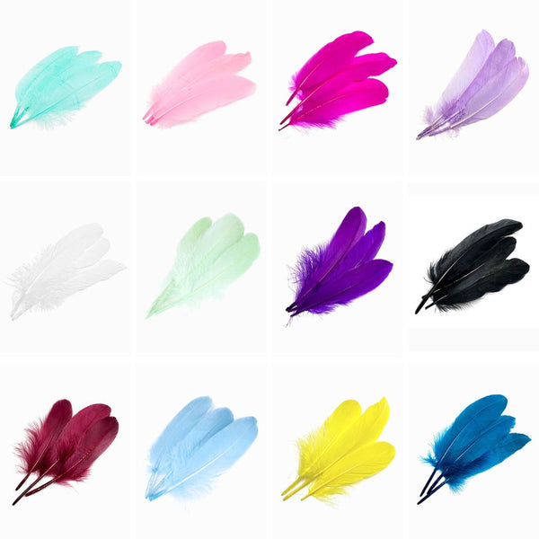 conjuntos 12 packs de penas