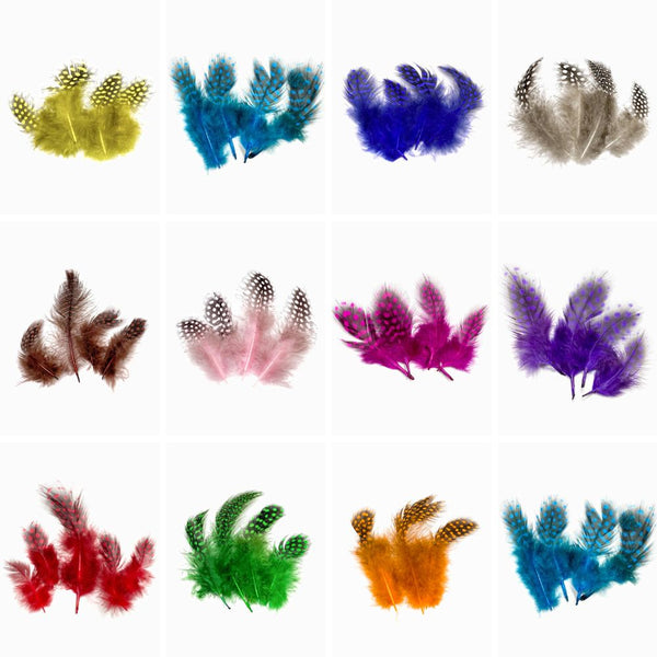 Pack 25 Penas de Faisão