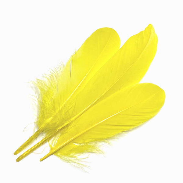 PENAS DE GANSO AMARELO