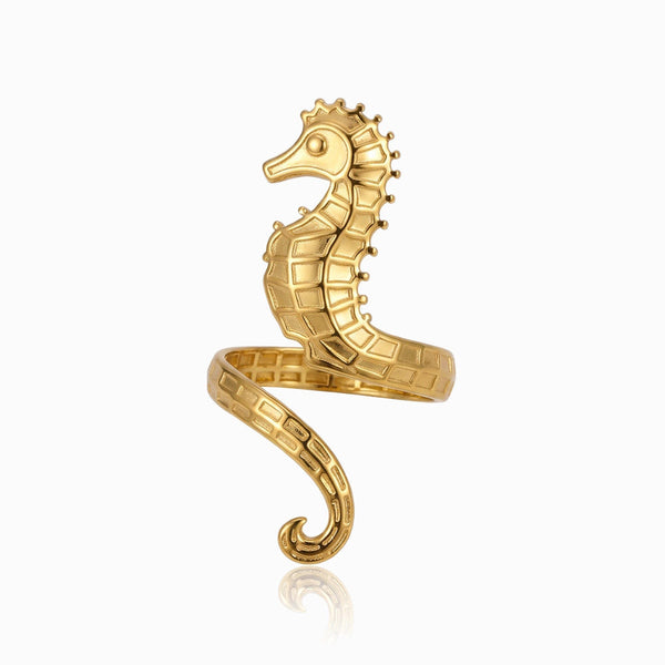 Anel Cavalo Marinho JZ1606 - Aço Inox