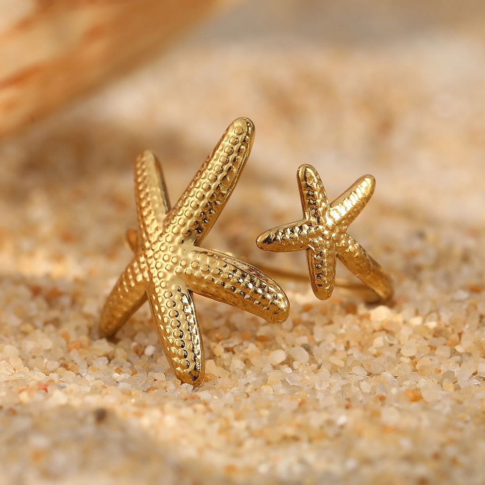 Um anel estrela do mar JZ1447 na praia