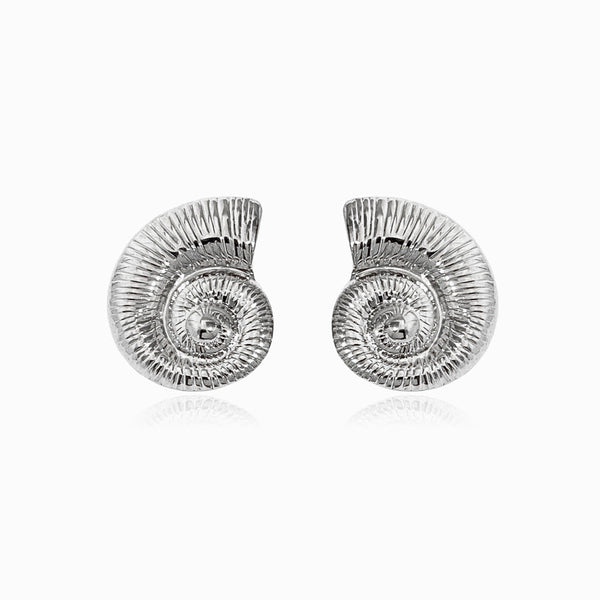 Brincos Caracol 27x23mm BR1295 - Aço Inox Prateado