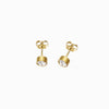 Brincos com Pedra de Nascimento 6mm BR1428 - Aço Inox Dourado