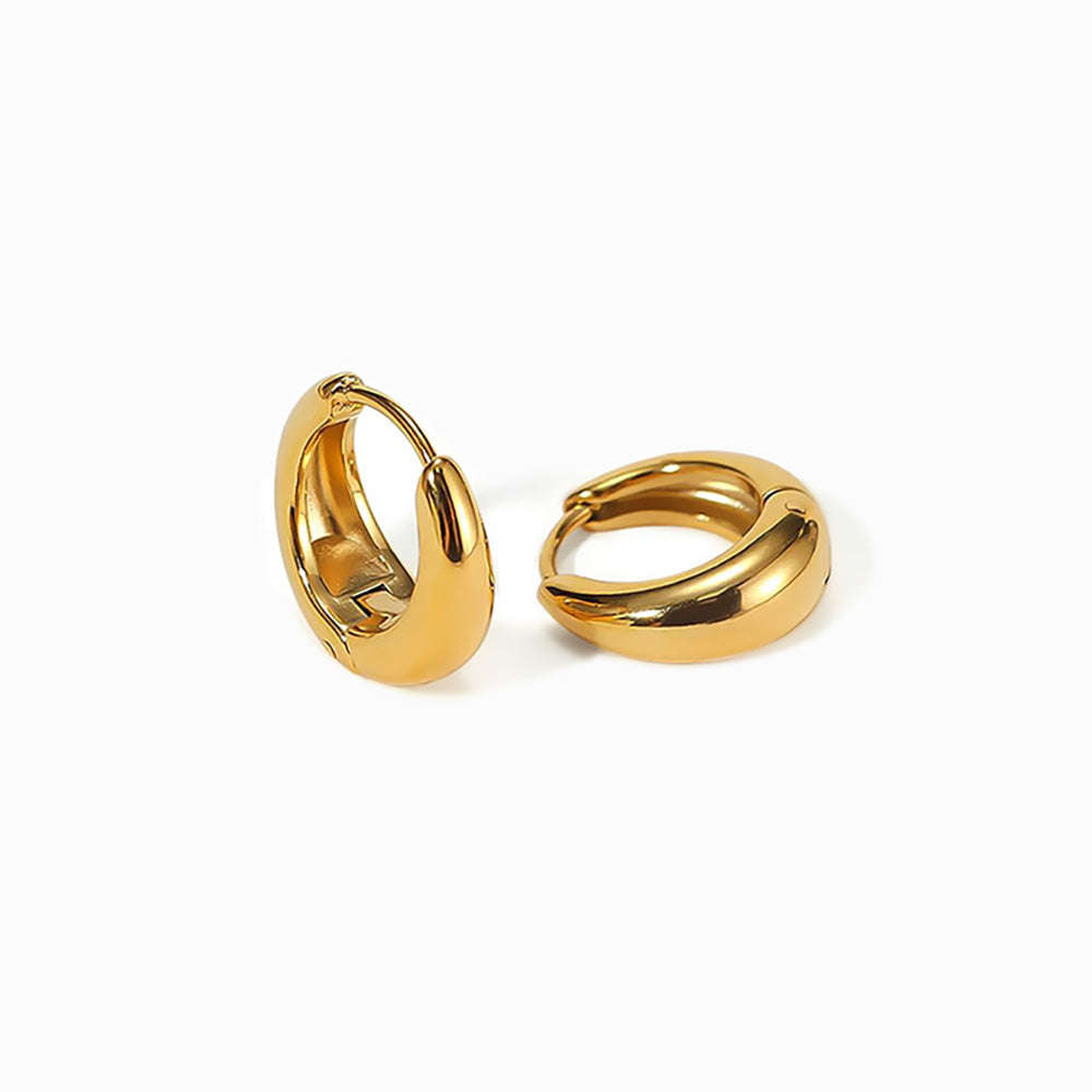 Brincos de Argola 10mm BR1501 - Aço Inox