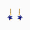 Brincos Estrela do Mar BR1370 - Aço Inox