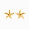 Brincos Estrela do Mar 25x24mm BR1378 - Aço Inox Dourado