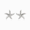 Brincos Estrela do Mar 25x24mm BR1378 - Aço Inox Prateado