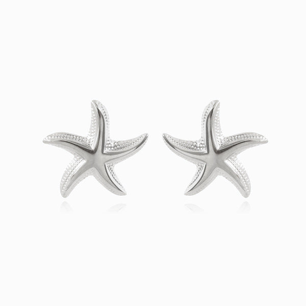 Brincos Estrela do Mar 25x24mm BR1378 - Aço Inox Prateado