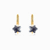Brincos Estrela do Mar BR1391 - Aço Inox