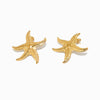 Brincos Estrela do Mar 35x35mm BR1395 - Aço Inox Dourado