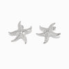 Brincos Estrela do Mar 35x35mm BR1395 - Aço Inox Prateado