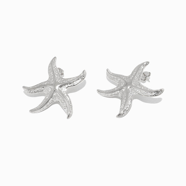 Brincos Estrela do Mar 35x35mm BR1395 - Aço Inox Prateado