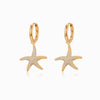 Brincos Estrela do Mar BR3074 - Aço Inox