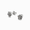 Brincos BR1805P-DSR025 - Aço Inox