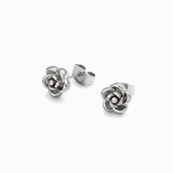 Brincos BR1805P-DSR025 - Aço Inox