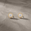 Brincos Elegantes com Brilhantes BR1778D-MBE020 - Aço Inox_scene