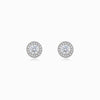 Brincos Elegantes com Brilhantes BR1778P-MBE020 - Aço Inox