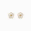 Brincos_Flor_BR3094D-ENE012_-_Aco_Inox