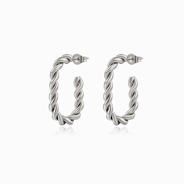 Brincos Torcidos 24x16mm BR1136 - Aço Inox Prateado
