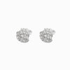Brincos Verão Concha BR1773P-MBE013 - Aço Inox