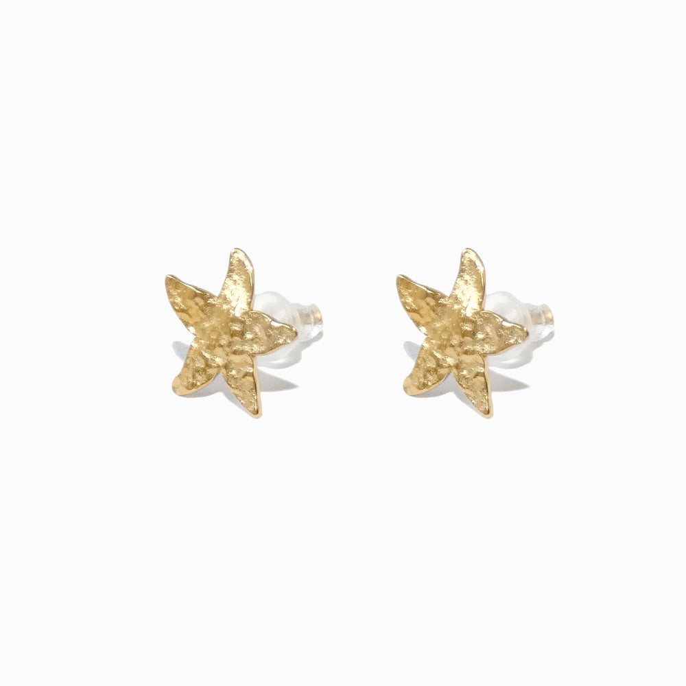 Brincos Verão Estrela do Mar BR1774D-MBE013 - Aço Inox