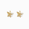 Brincos Verão Estrela do Mar BR1774D-MBE013 - Aço Inox