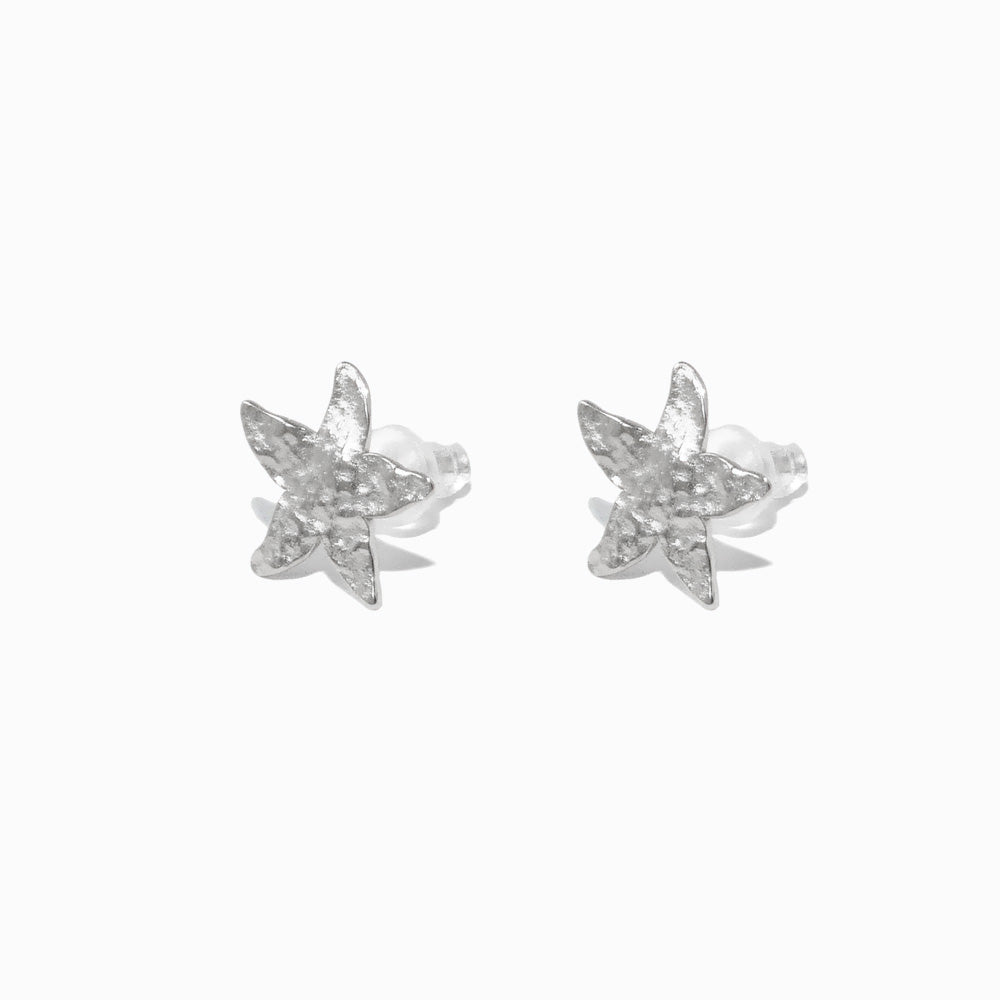 Brincos Verão Estrela do Mar BR1774P-MBE013 - Aço Inox