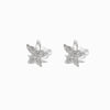 Brincos Verão Estrela do Mar BR1774P-MBE013 - Aço Inox